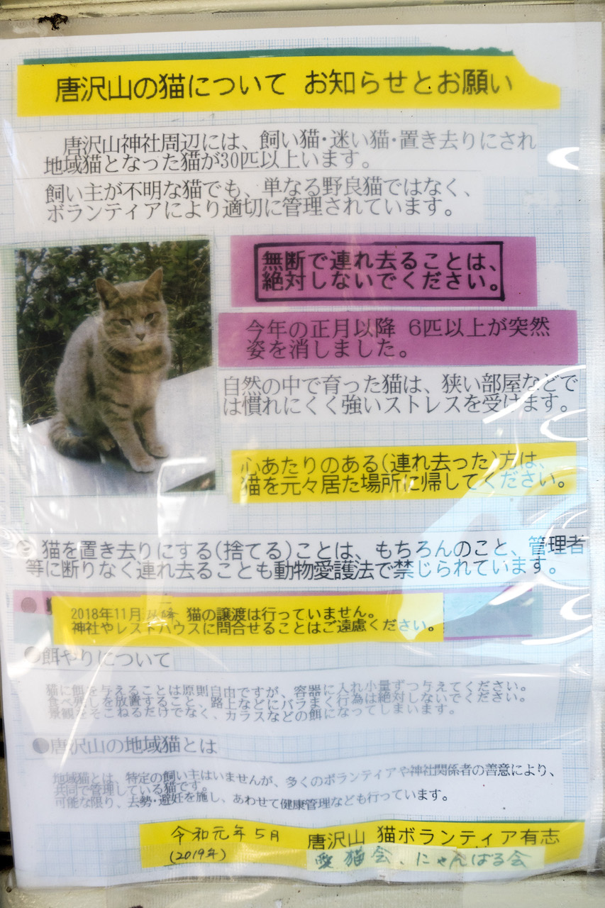 猫と遊べる唐沢山神社で餌をあげたり写真を撮ったり Nachicos Blog