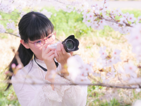 眼鏡カメラ女子と桜