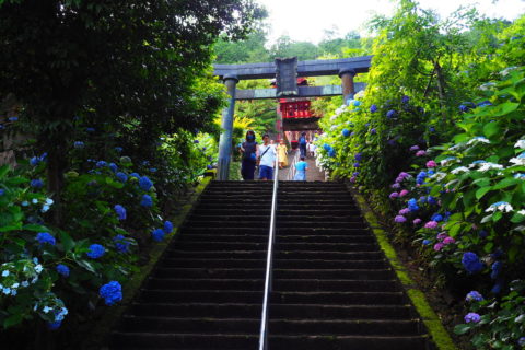 太平山神社の鳥居