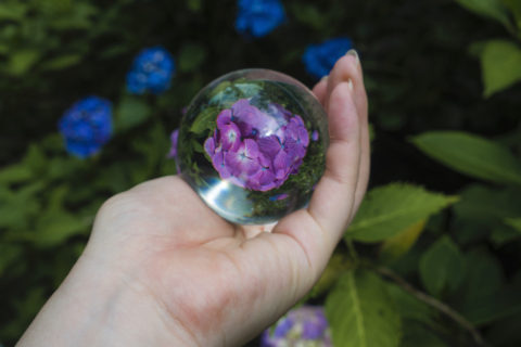 紫の紫陽花と水晶玉