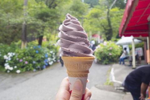 福松屋さんのアイスクリーム