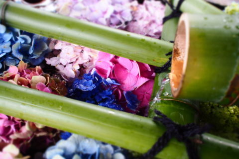 紫陽花の花手水アップ