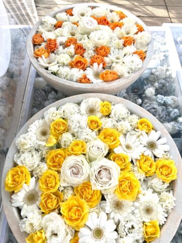 白と黄と橙の薔薇