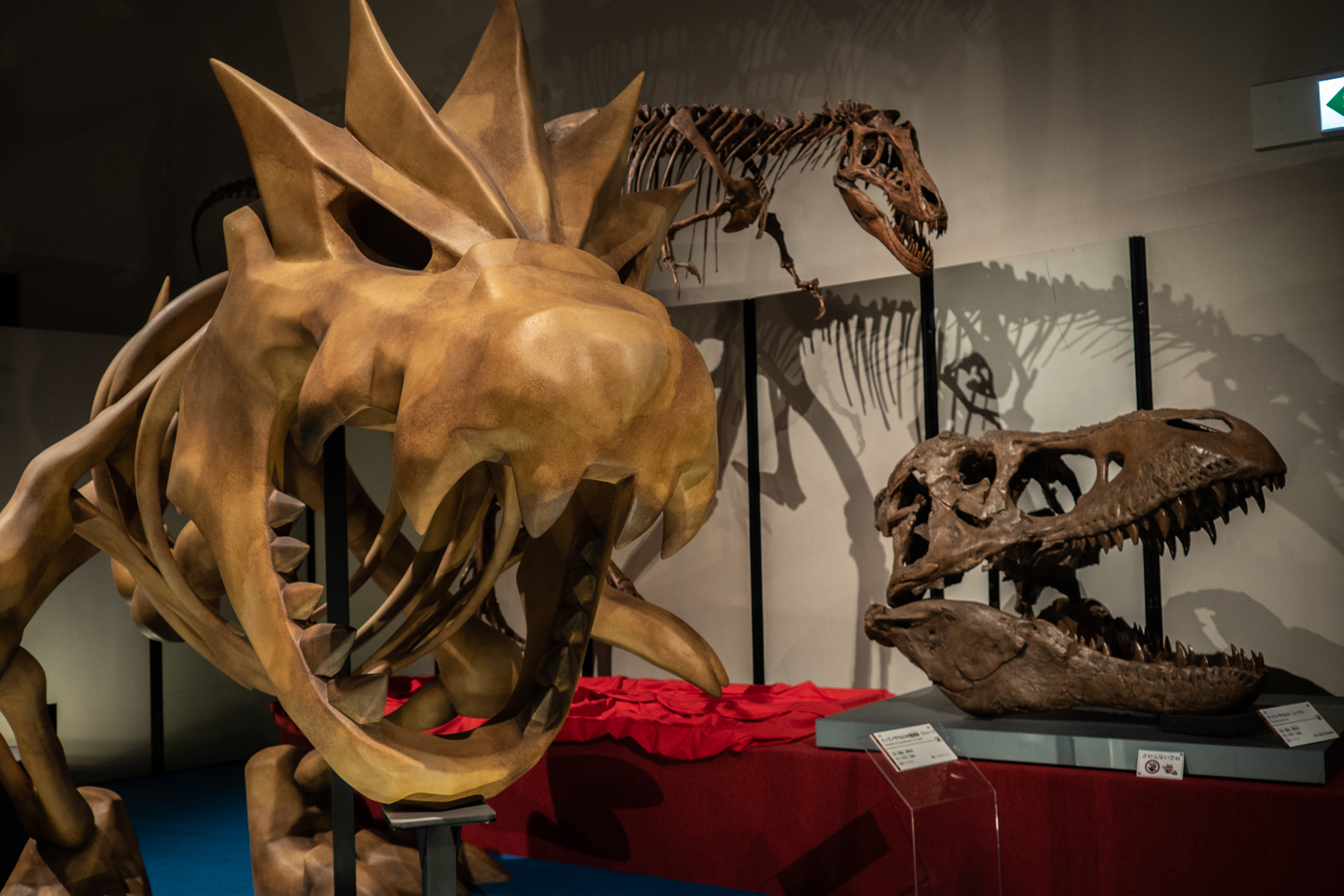 ガチゴラスとティラノサウルス