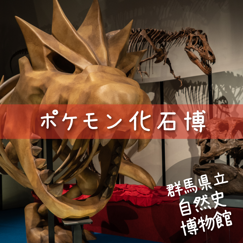 ポケモン化石博 群馬県立自然史博物館