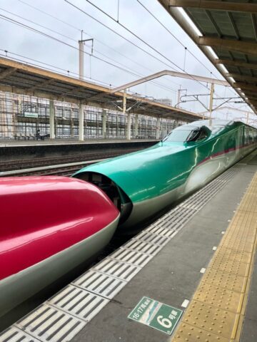 新幹線で仙台へ！