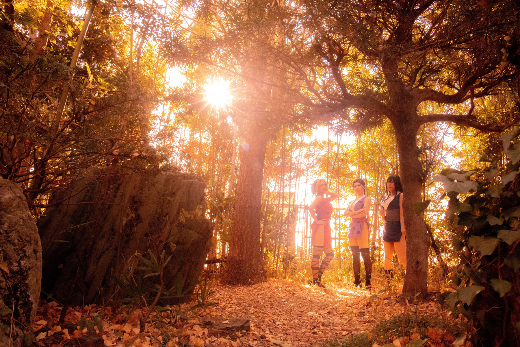 逆光が入る場所