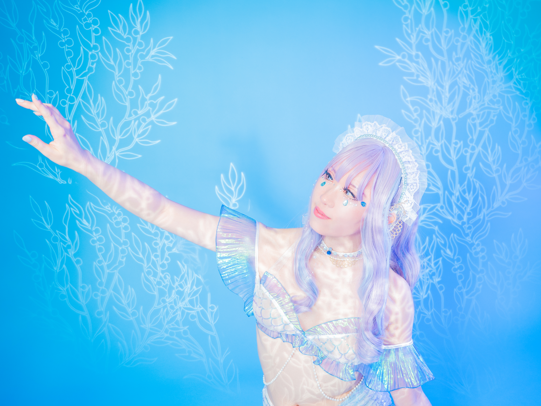 海藻のスライド①