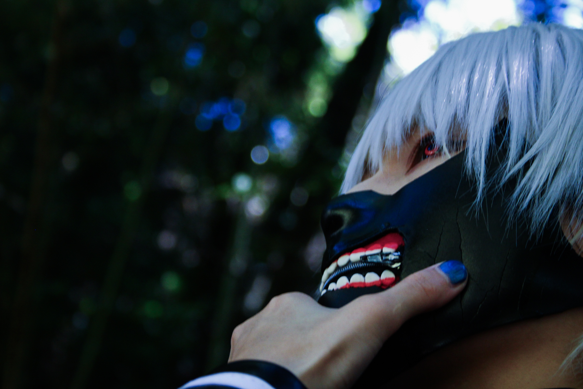 まんぼさんのカネキコス