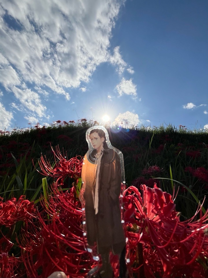 キリトと彼岸花