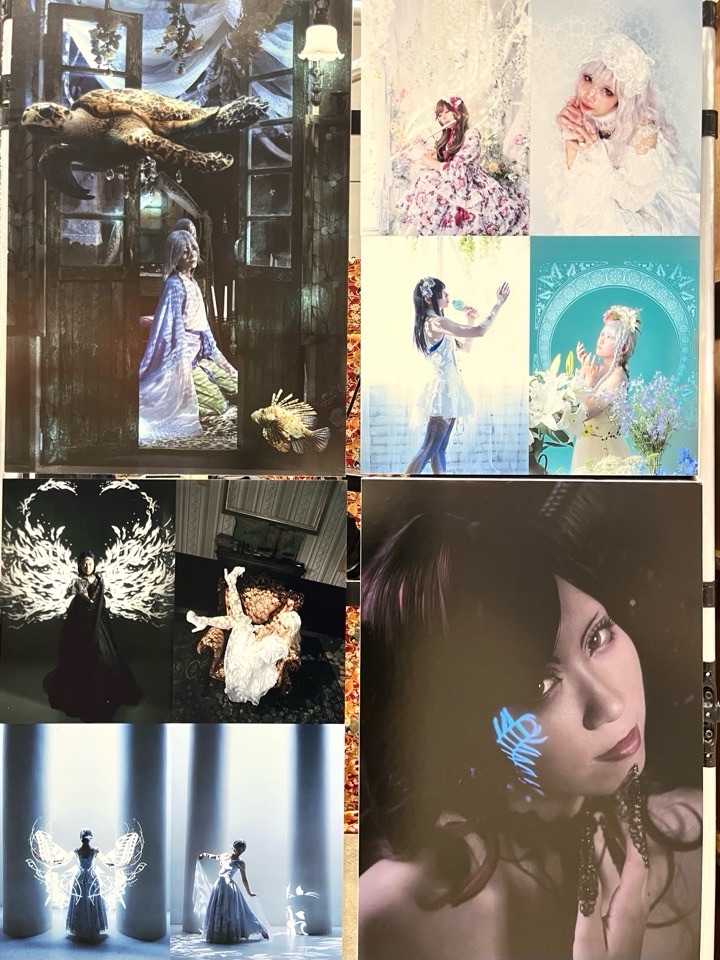 ボードにまとめた猫足さんの作品