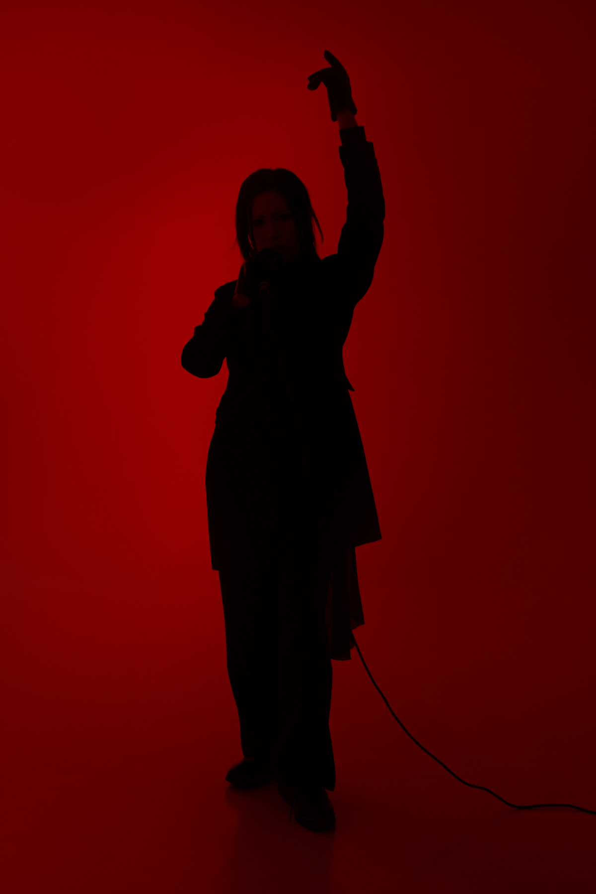 :evolve シルエット