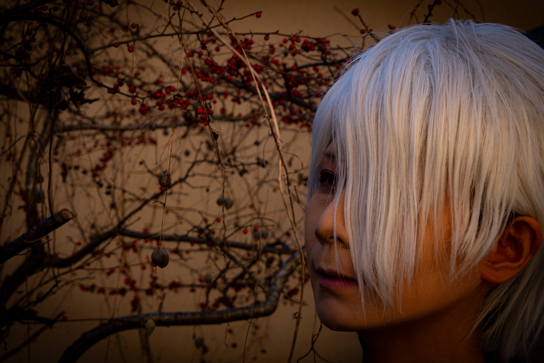 南天の花言葉「私の愛は増すばかり」